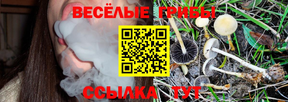 Псилоцибиновые грибы Psilocybe  Галлюциногенные грибы Psilocybine cubensis  Вход с VPN  купить   Михайловка 